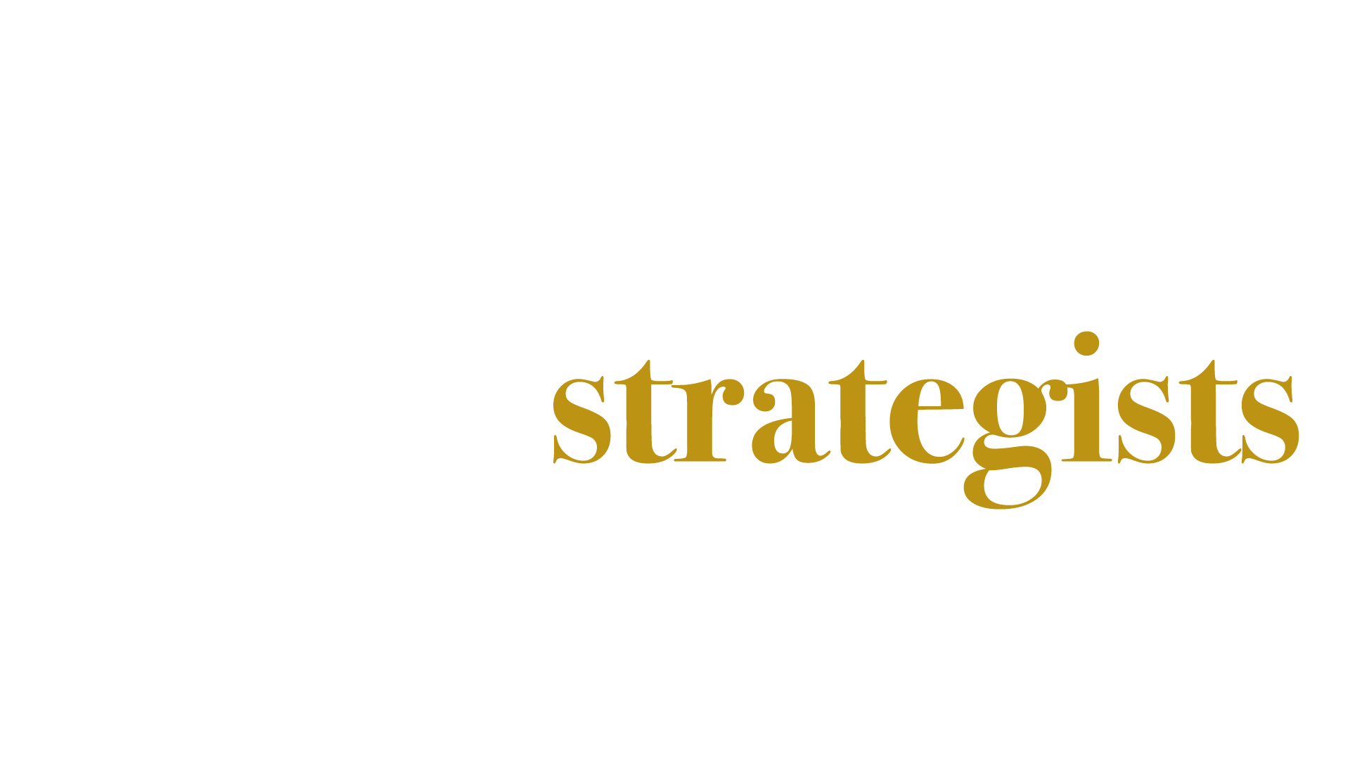 br&strategists WIDE (logo)-03